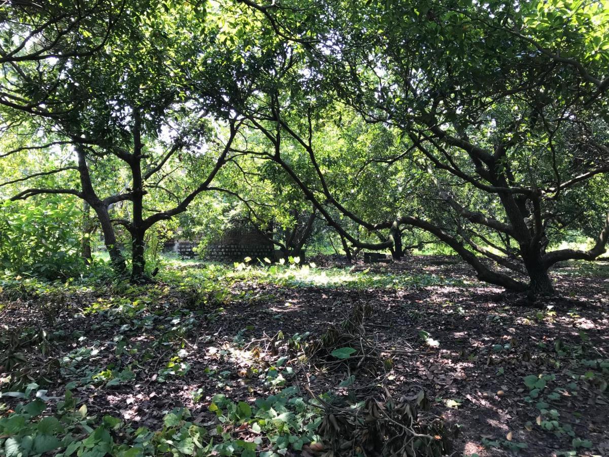 דהאנו Zohra Baugh, A Green & Organic Farmhouse Stay With All Amenities מראה חיצוני תמונה