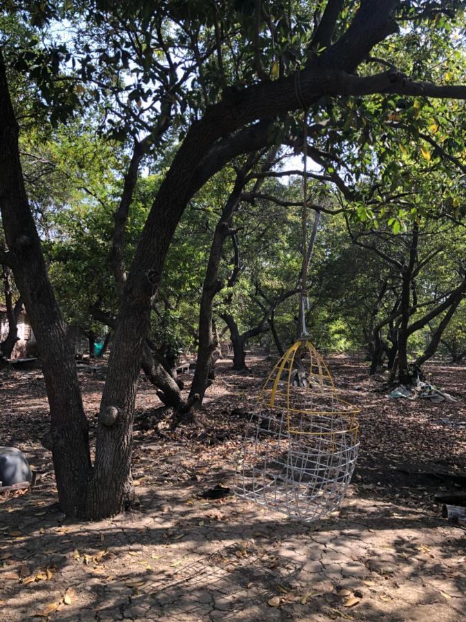 דהאנו Zohra Baugh, A Green & Organic Farmhouse Stay With All Amenities מראה חיצוני תמונה