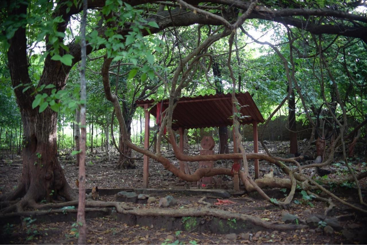 דהאנו Zohra Baugh, A Green & Organic Farmhouse Stay With All Amenities מראה חיצוני תמונה