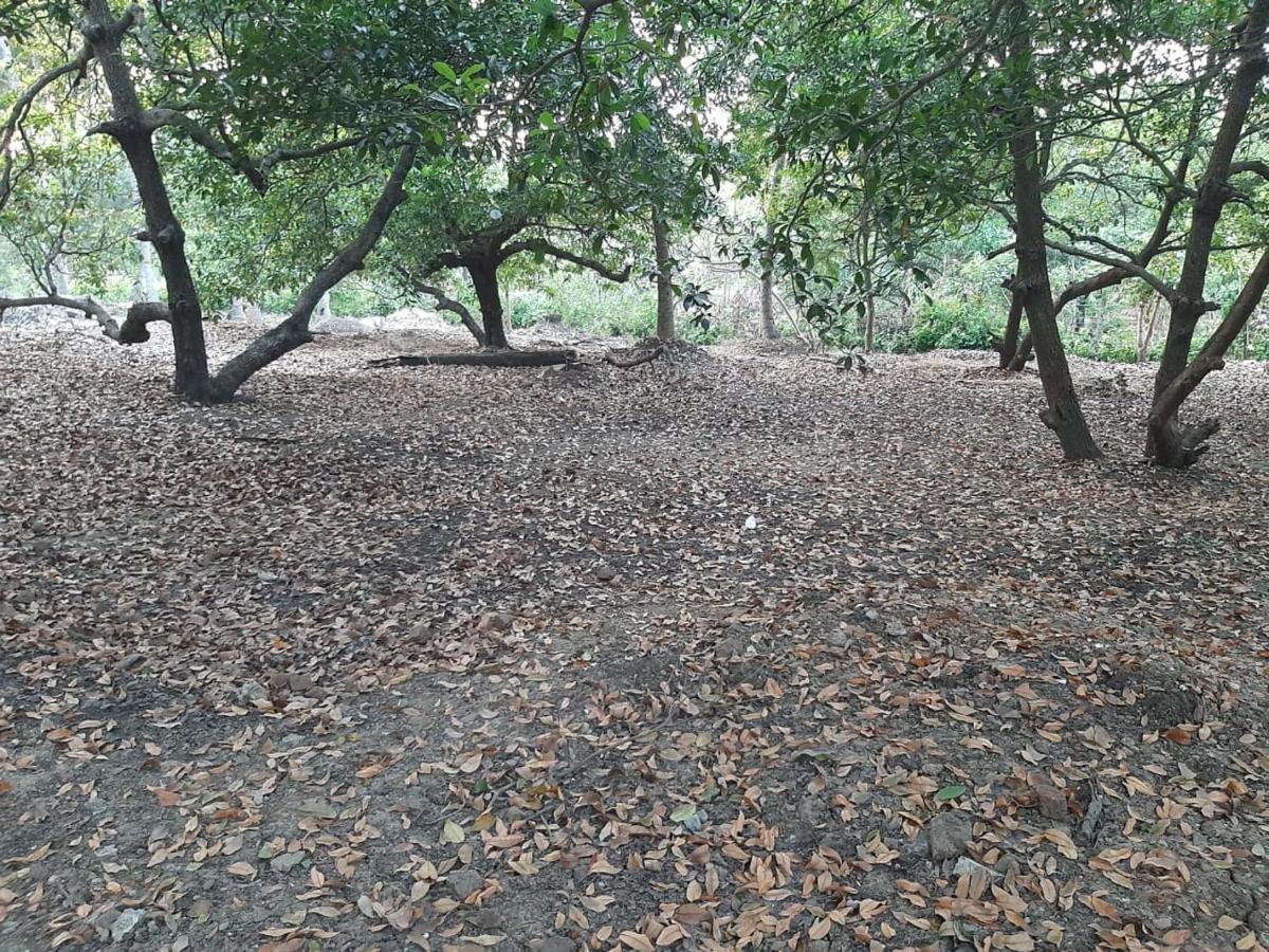 דהאנו Zohra Baugh, A Green & Organic Farmhouse Stay With All Amenities מראה חיצוני תמונה